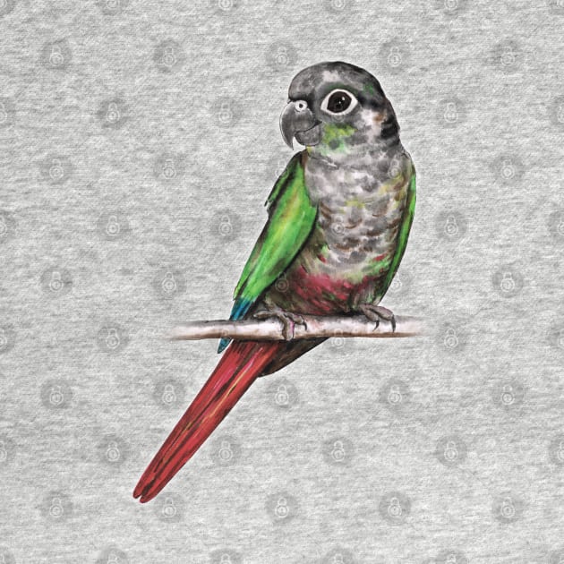 Green-cheeked conure by Bwiselizzy